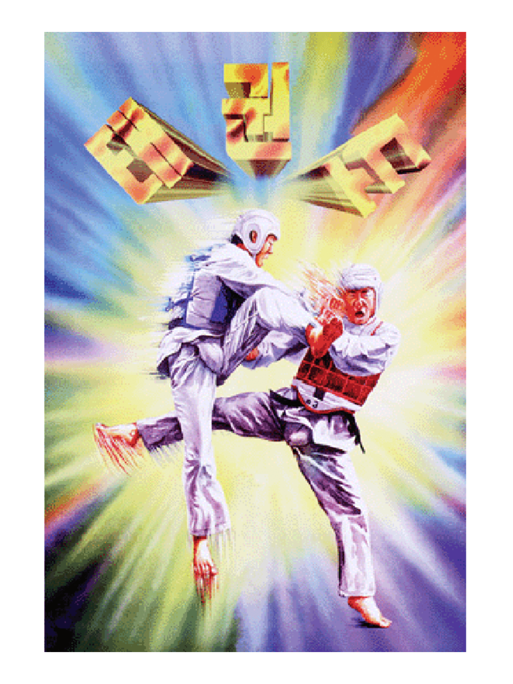 MAG Taekwondo Korean Poster