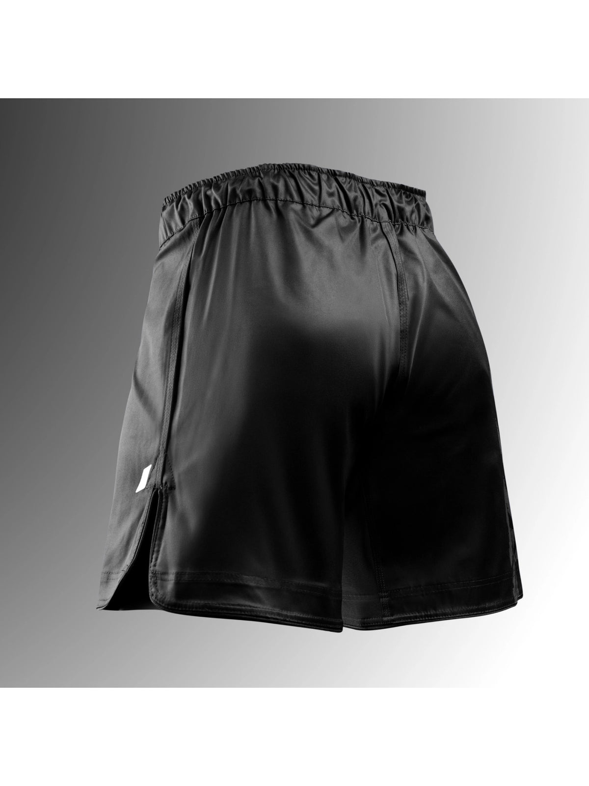 Hayabusa Men's Apex Full-Length Fight Shorts, carbon black, image 2