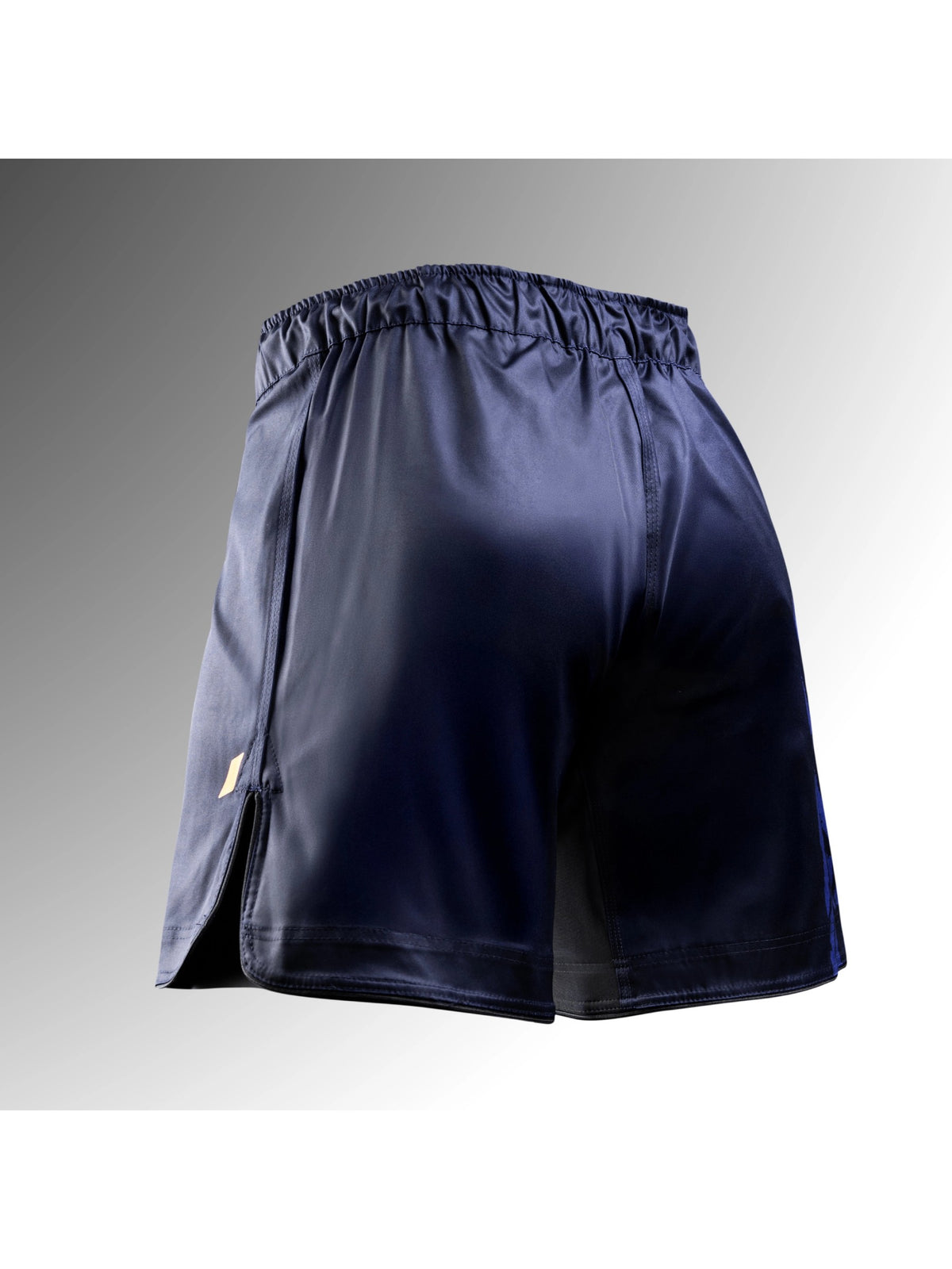 Hayabusa Men's Apex Full-Length Fight Shorts, dusk blue, image 2