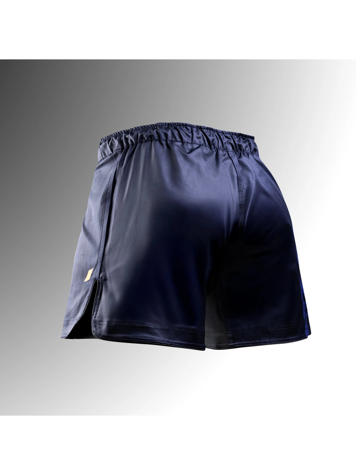Hayabusa Men's Apex Mid-Thigh Fight Shorts, dusk blue, image 2