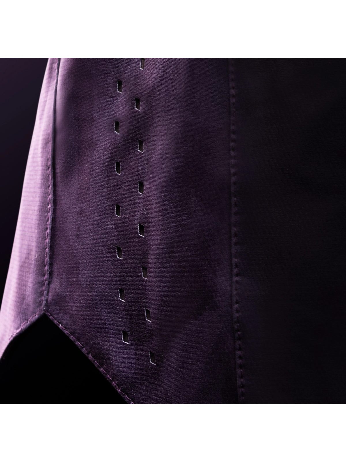 Hayabusa Women's Apex Fight Shorts, deep violet, image 3