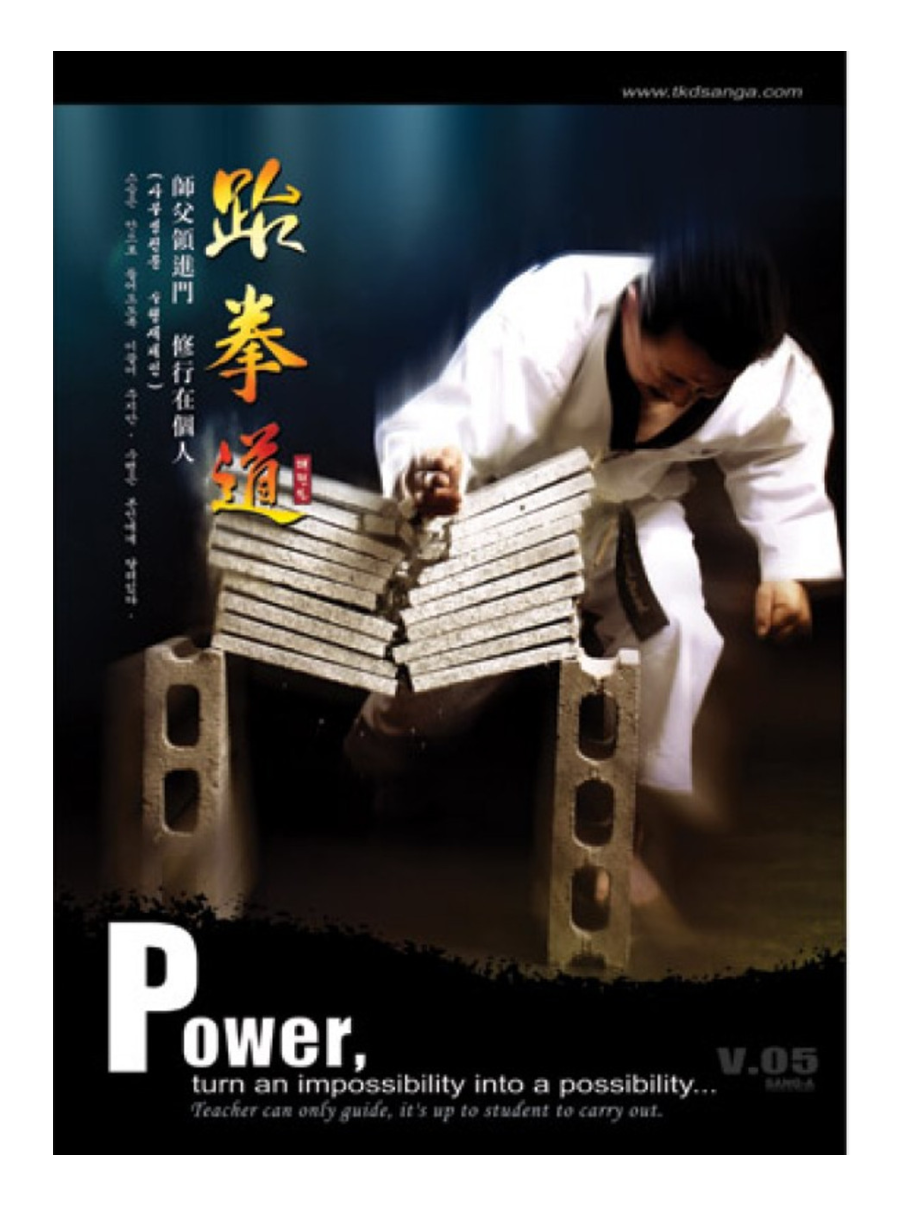 MAG Martial Arts Power Poster
