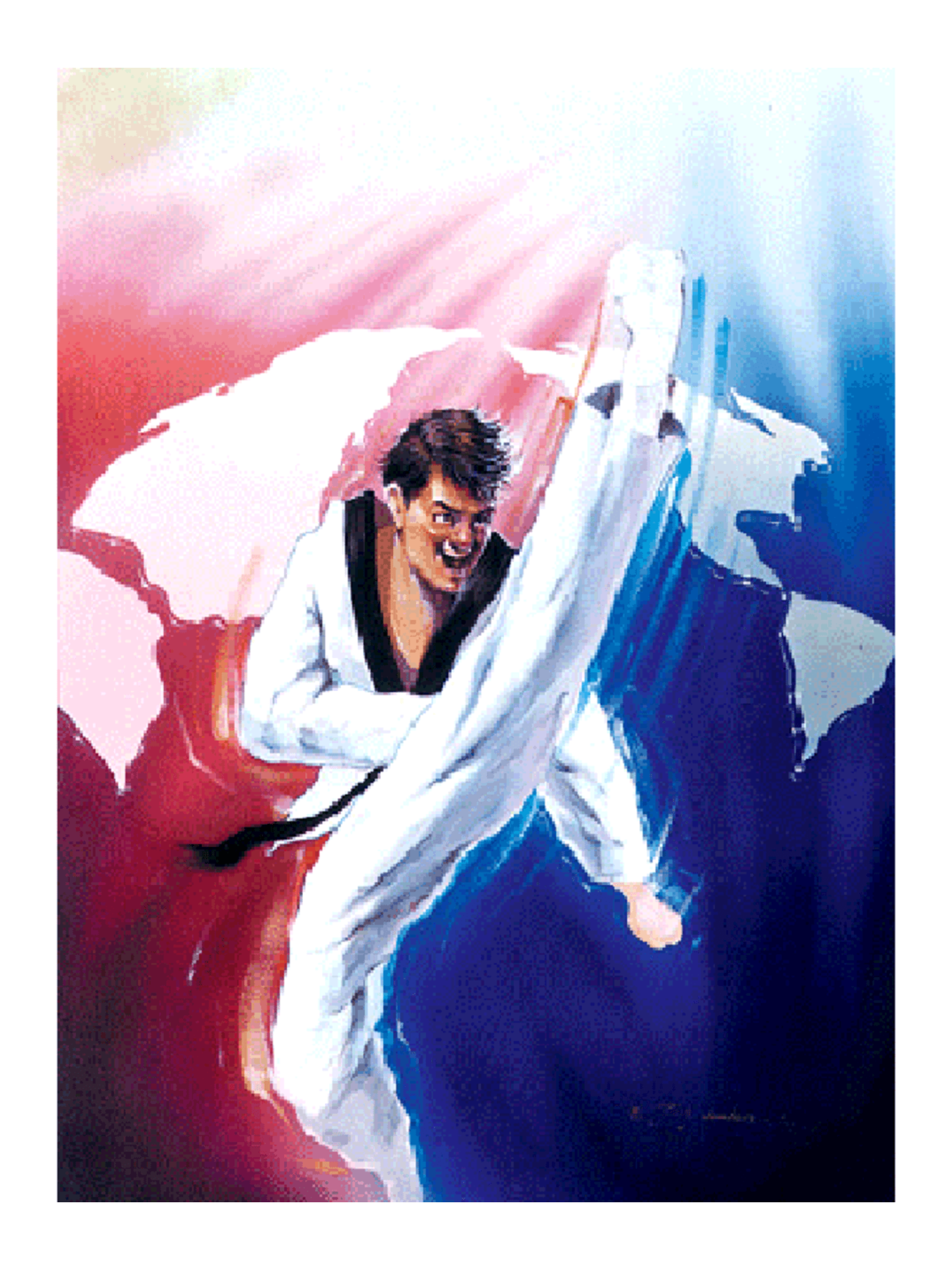 MAG Taekwondo Kicking Poster V4