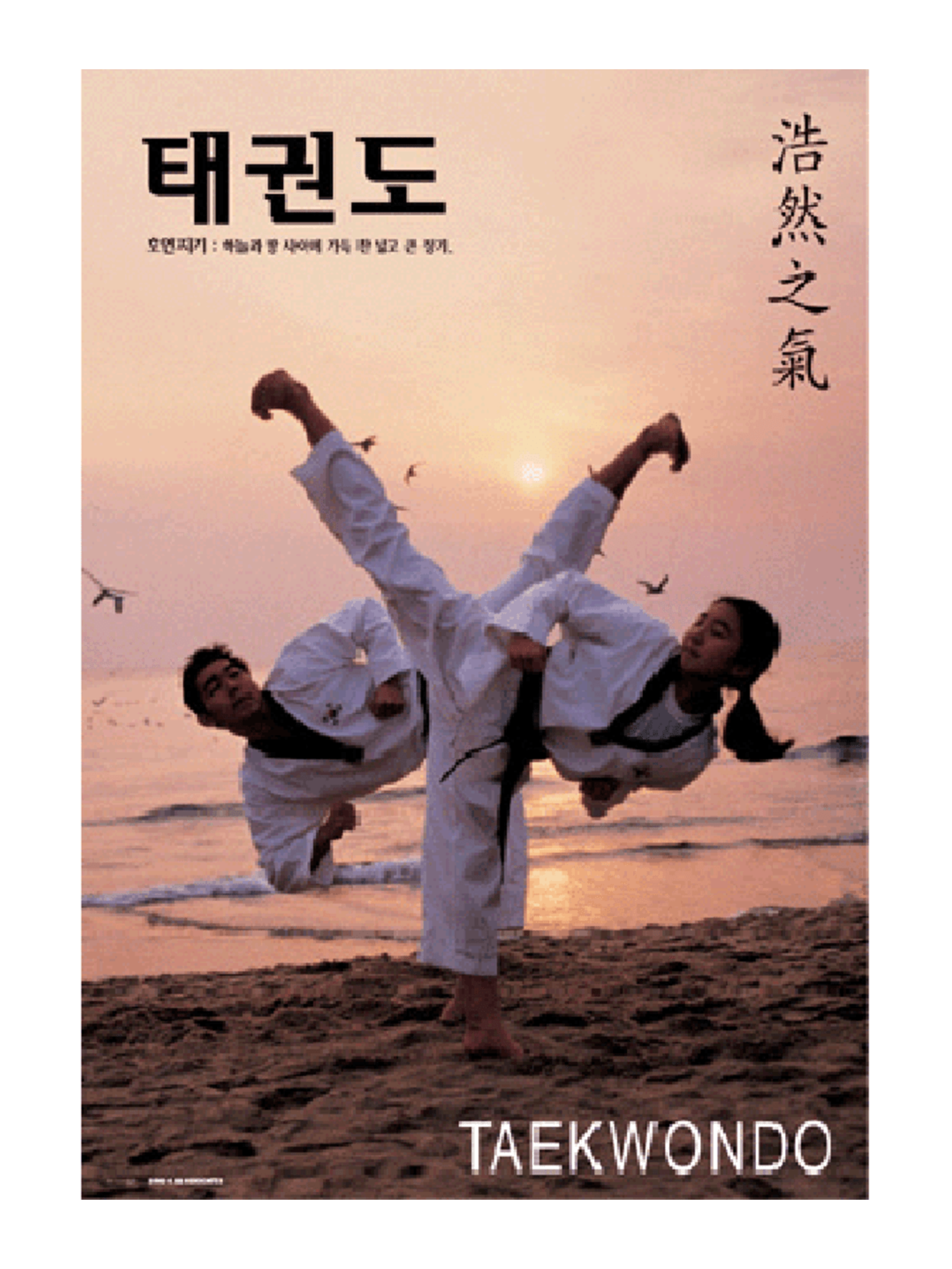MAG Taekwondo Kicking Poster V5
