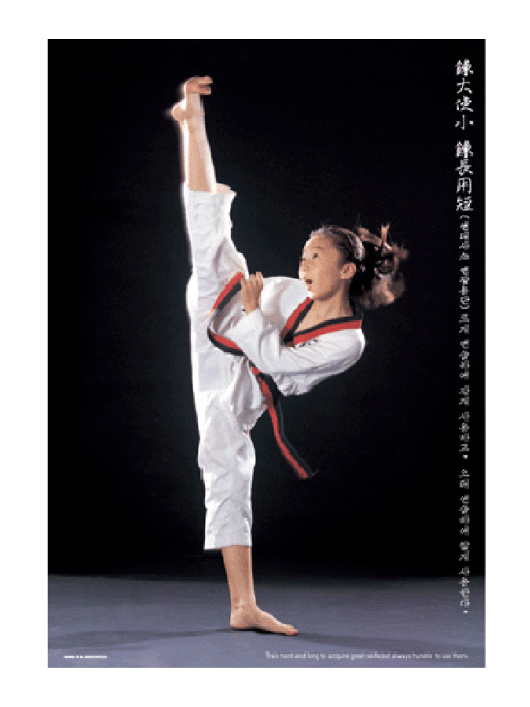 MAG Taekwondo Kicking Poster V6