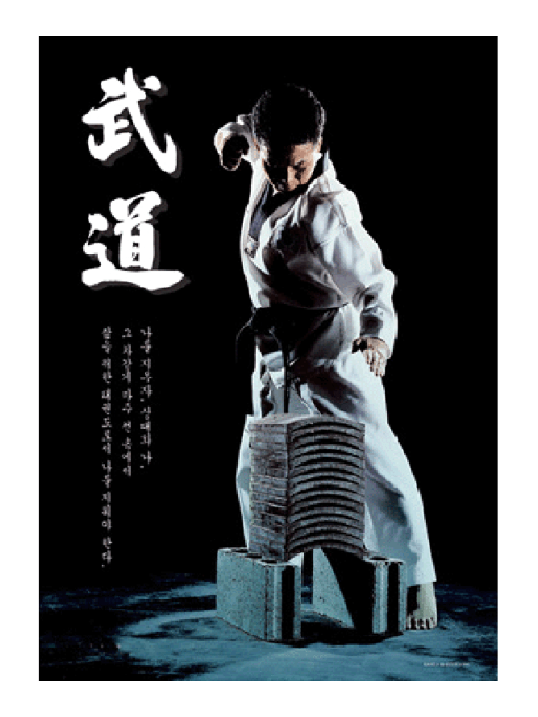 MAG Taekwondo Vertical Breaking Board Poster