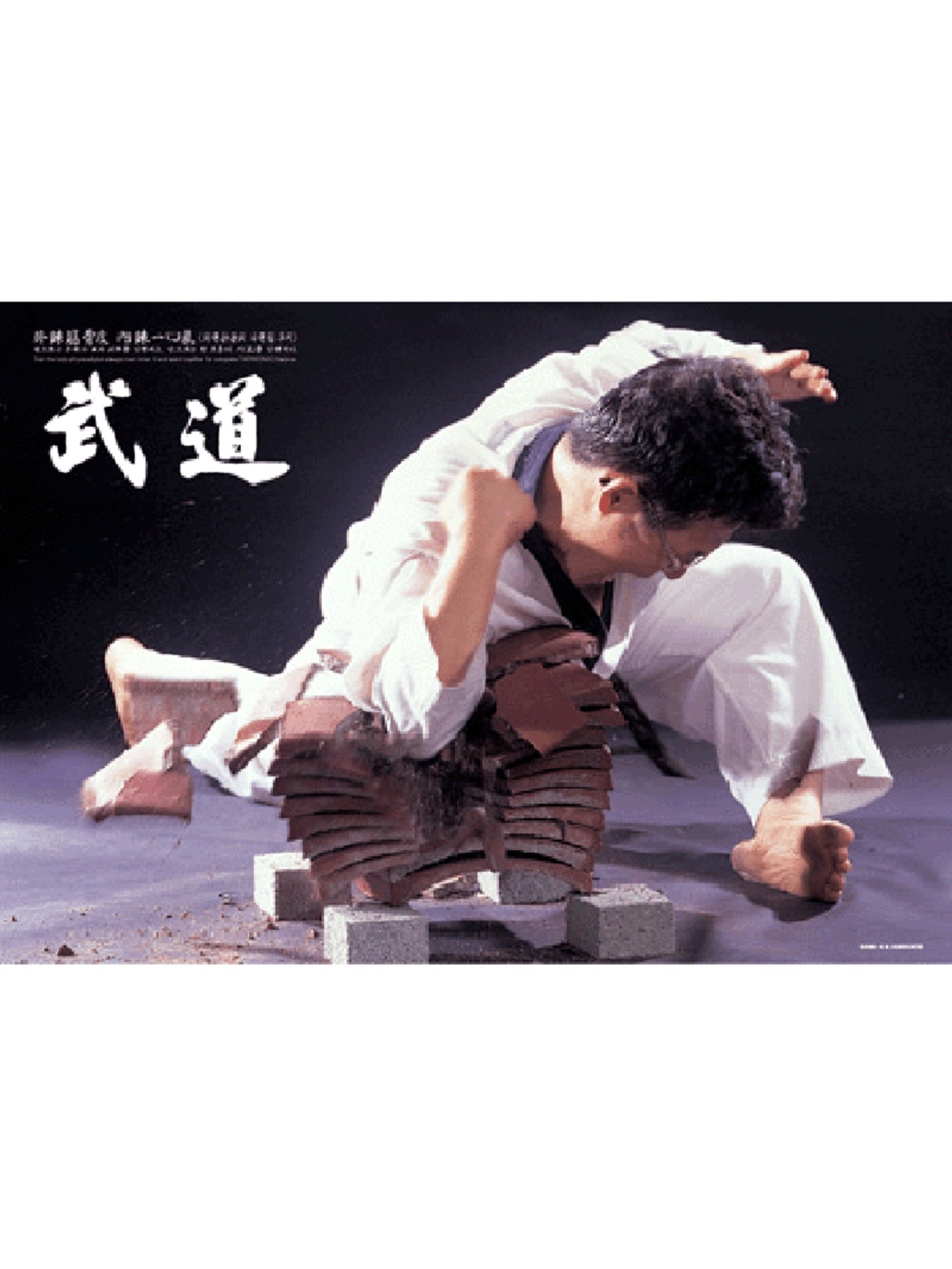 MAG Taekwondo Horizontal Breaking Board Poster