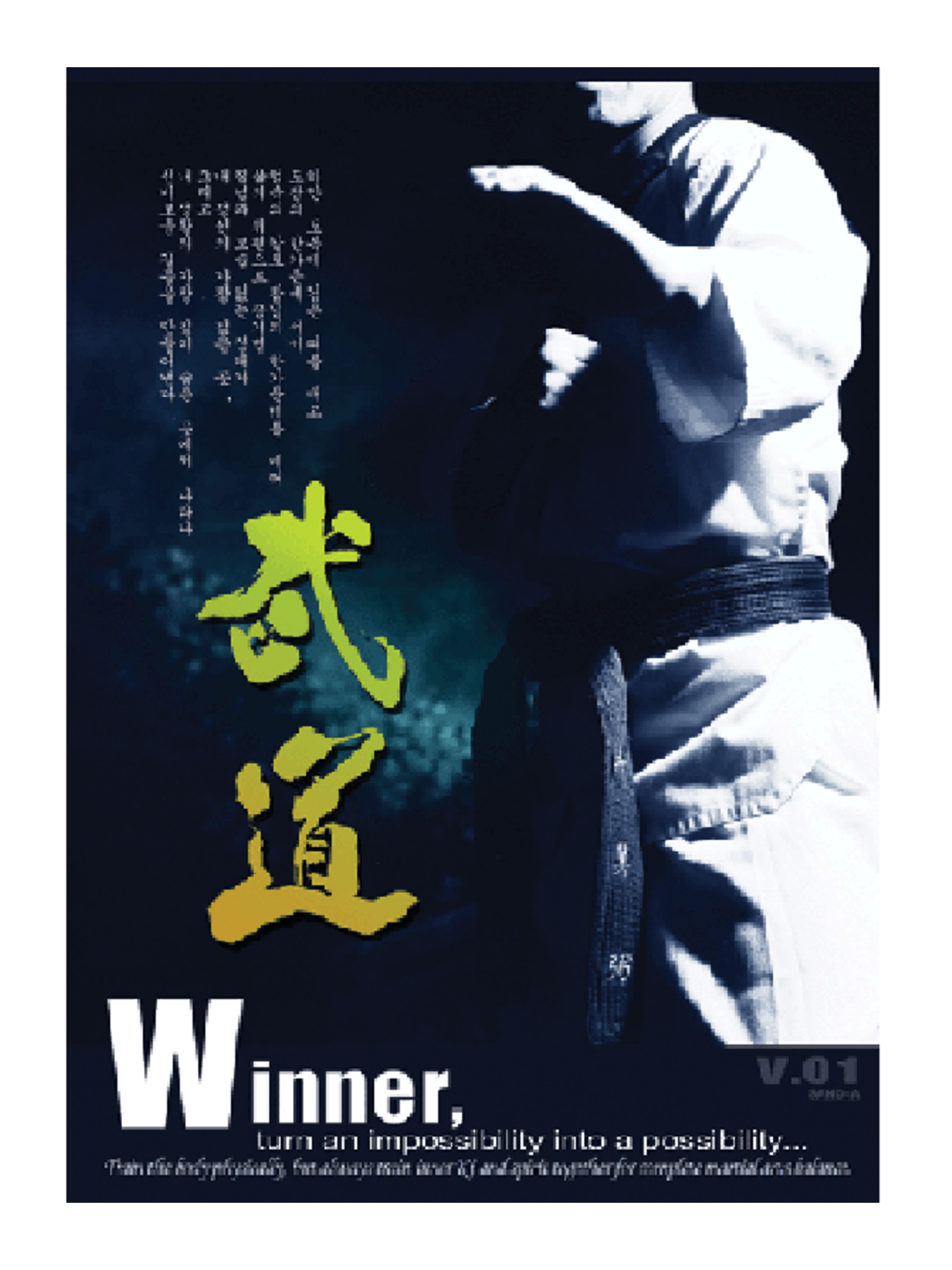MAG Martial Arts Winner Poster