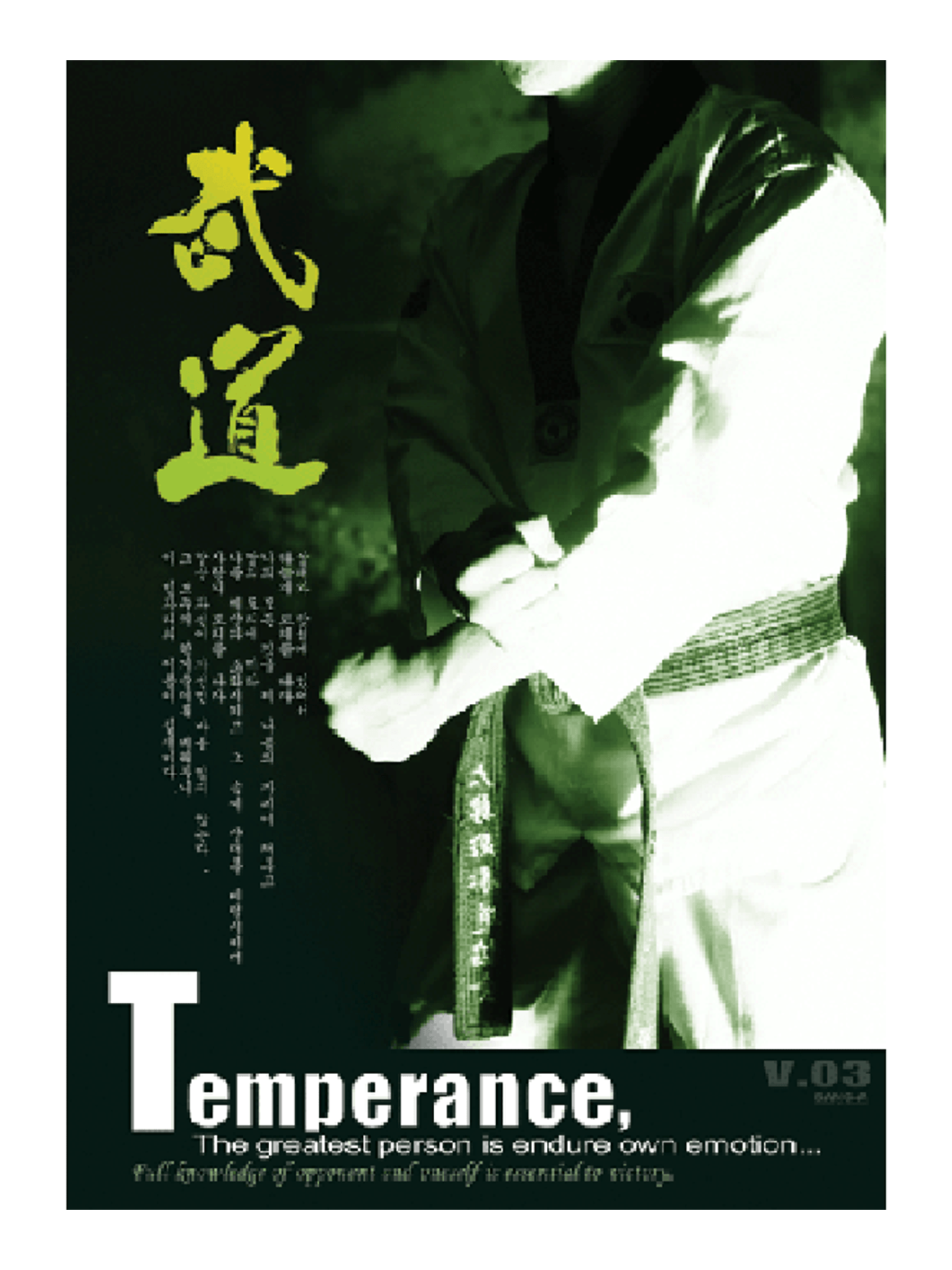 MAG Martial Arts Temperance Poster
