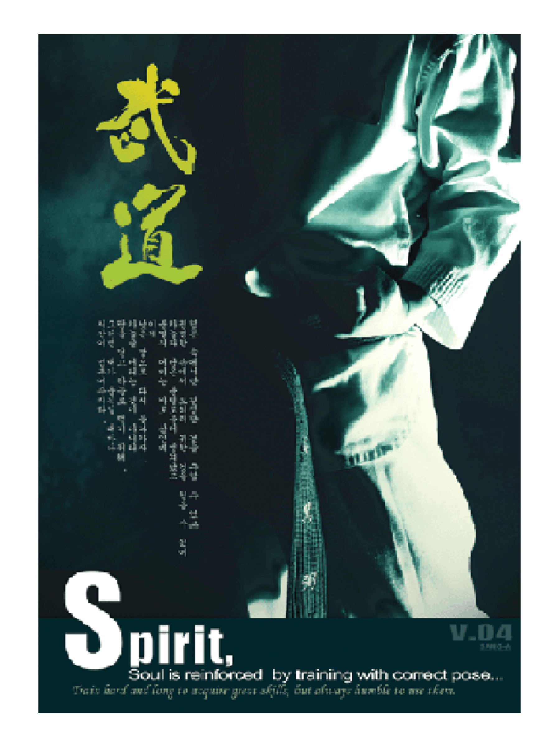 MAG Martial Arts Spirit Poster