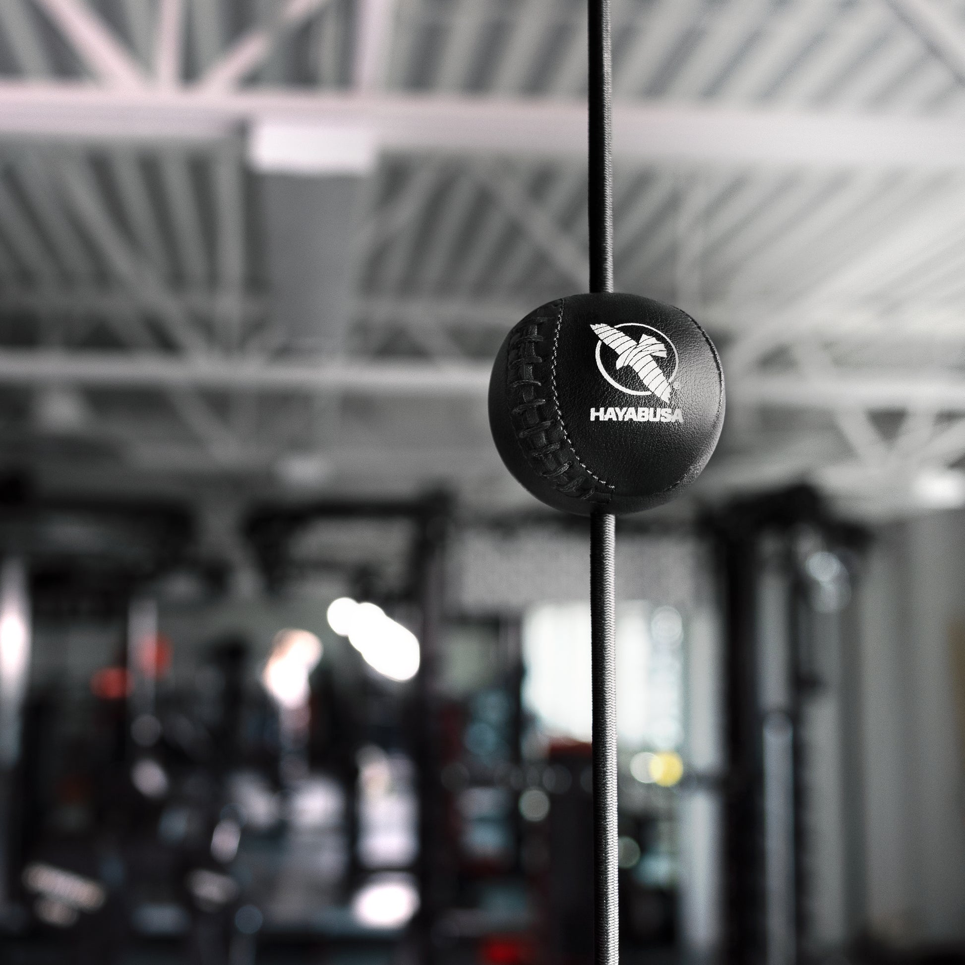 Hayabusa Double End Ball