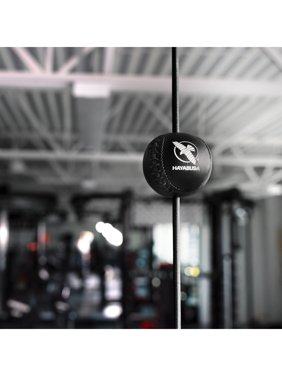Hayabusa Double End Ball – Training Setup