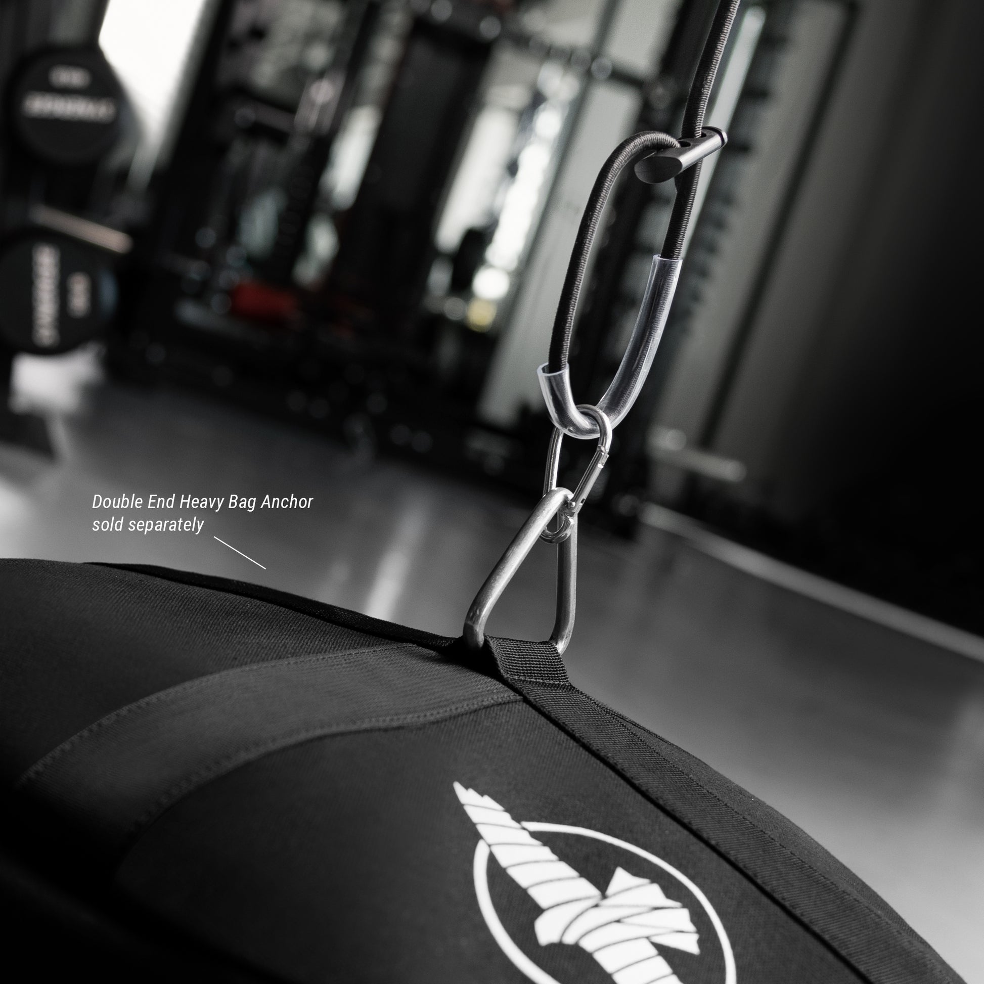 Hayabusa Double End Ball