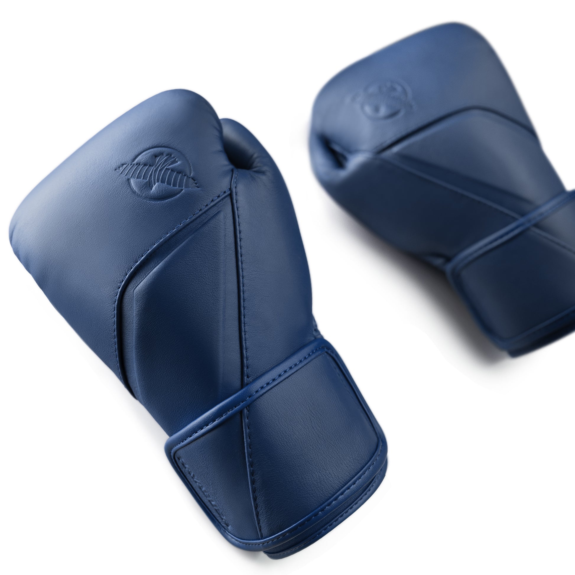 Hayabusa E1 Leather Boxing Gloves