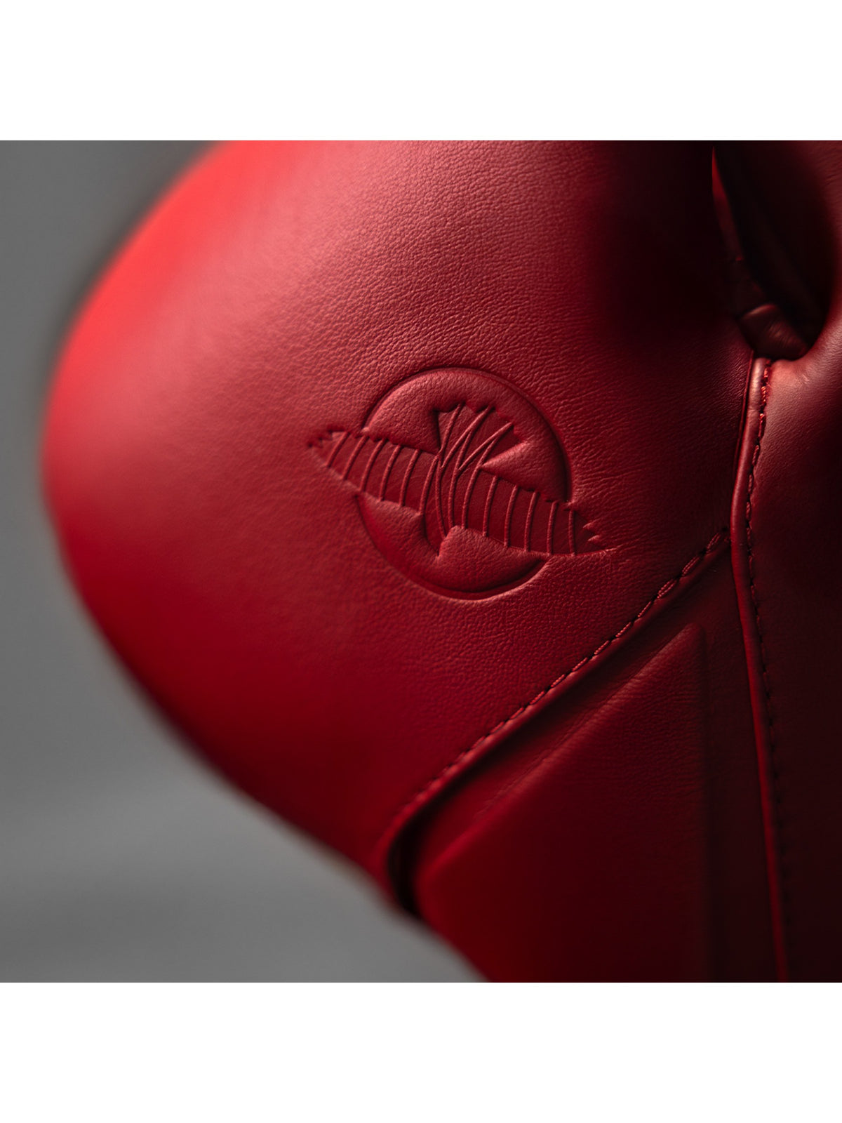 Hayabusa E1 Leather Boxing Gloves, canyon red, image 5