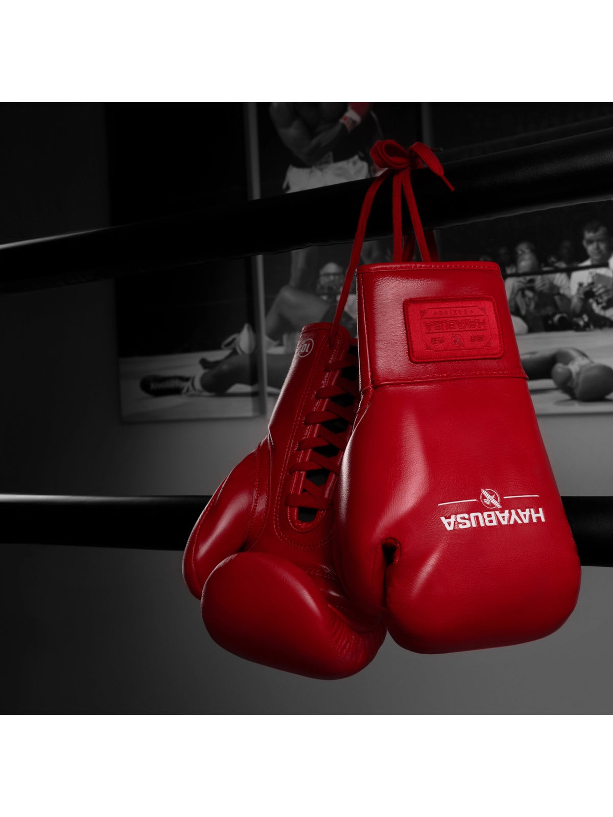 Hayabusa Pro Horsehair Fight Boxing Gloves, red, image 4