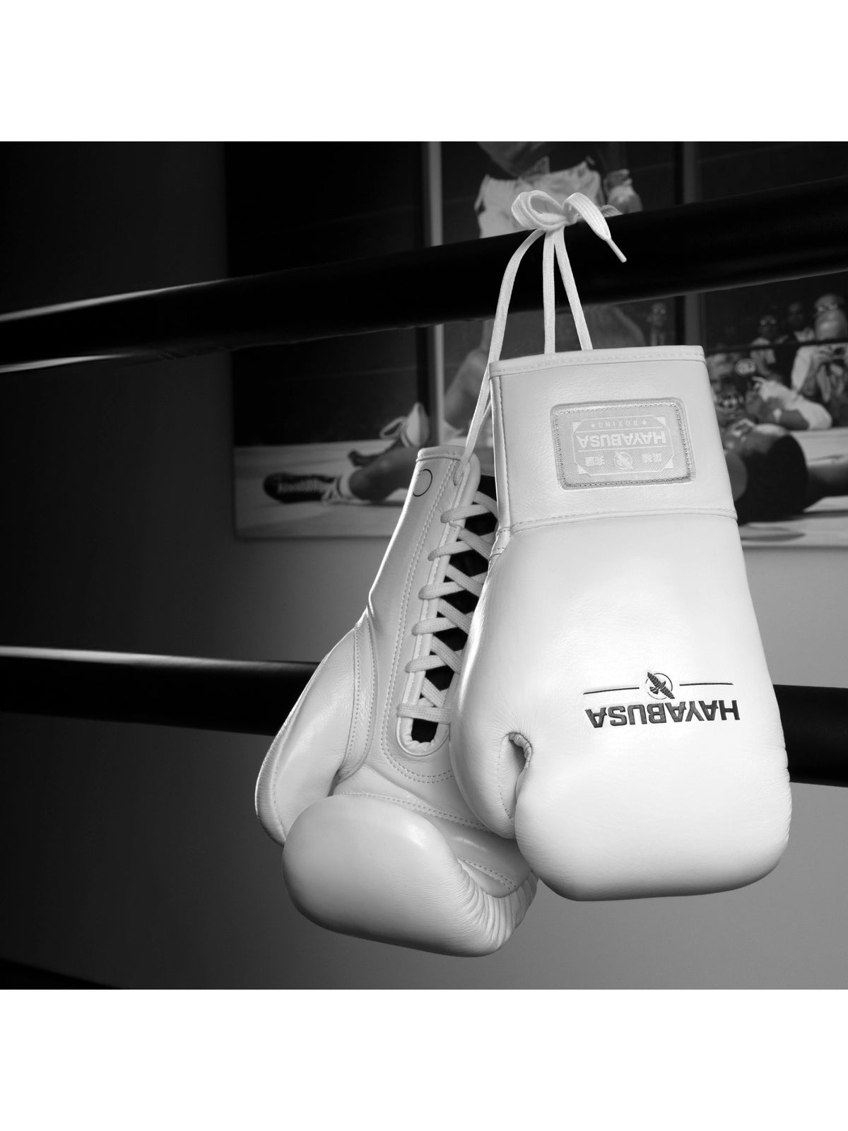 Hayabusa Pro Horsehair Fight Boxing Gloves, white, image 4