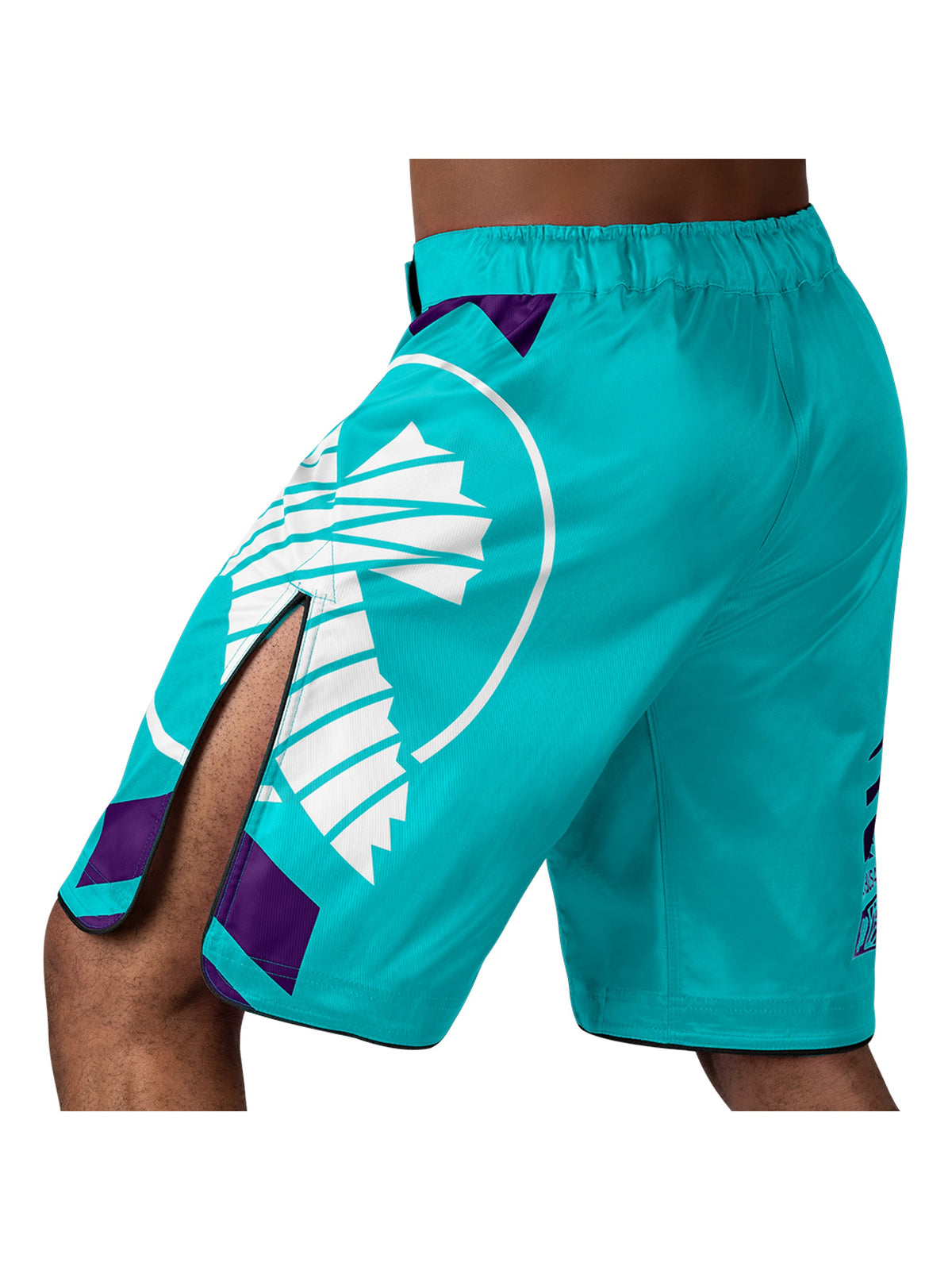 Hayabusa Icon MMA Shorts, teal/white, image 3