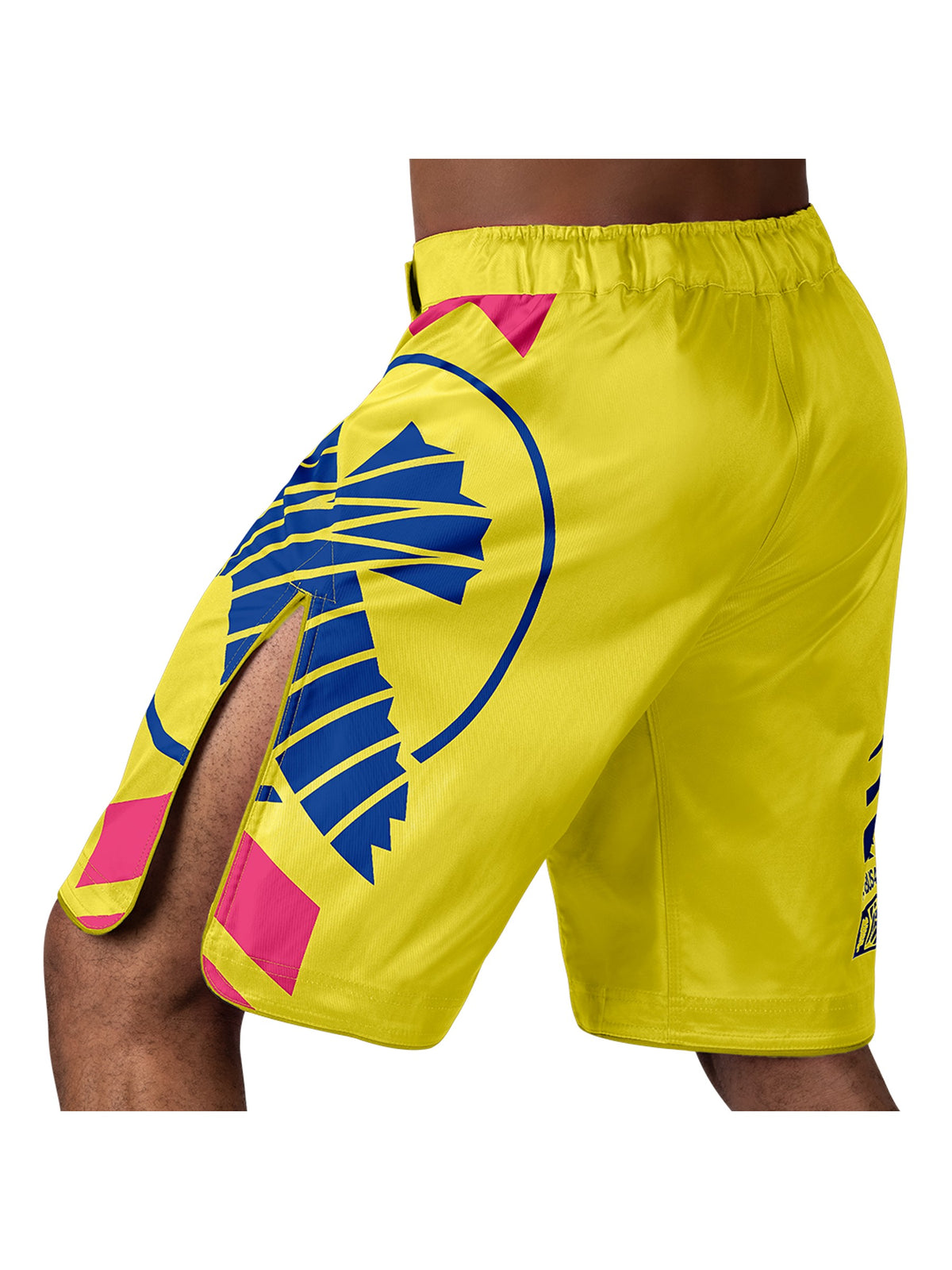 Hayabusa Icon MMA Shorts, yellow/blue, image 3