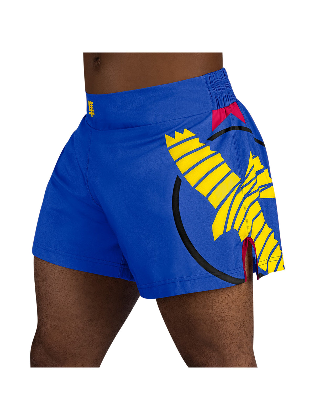 Hayabusa Icon Kickboxing Shorts, blue/yellow, main image