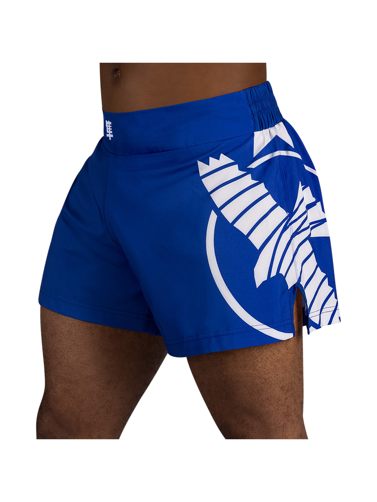 Hayabusa Icon Kickboxing Shorts, blue/white, main image