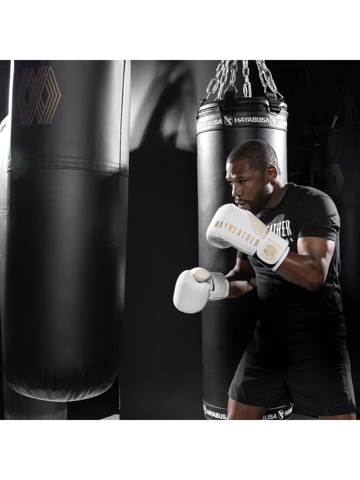 Mayweather Champ Boxing Gloves, white/gold, image 2