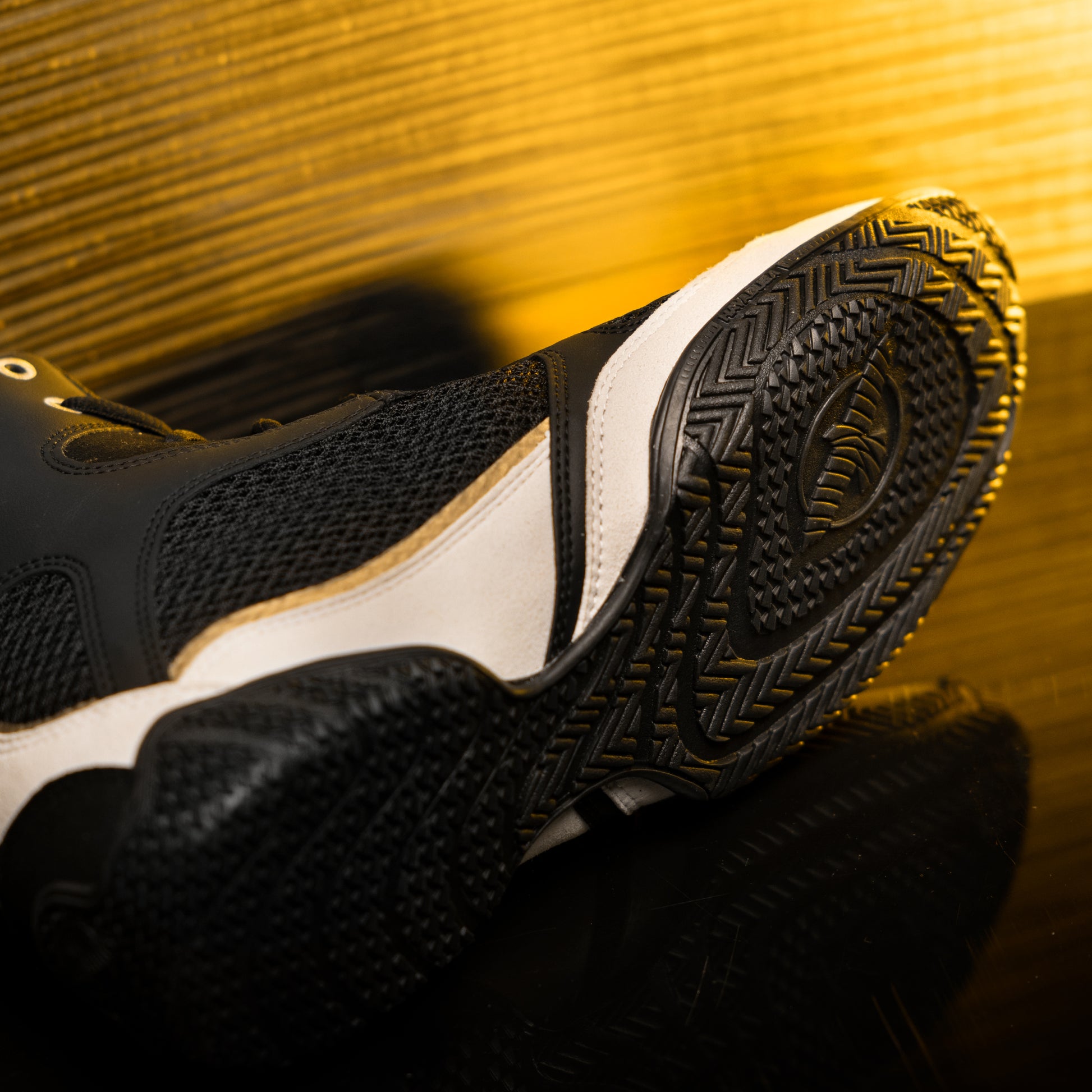 Mayweather Champ Boxing Shoes – Black/Gold Back