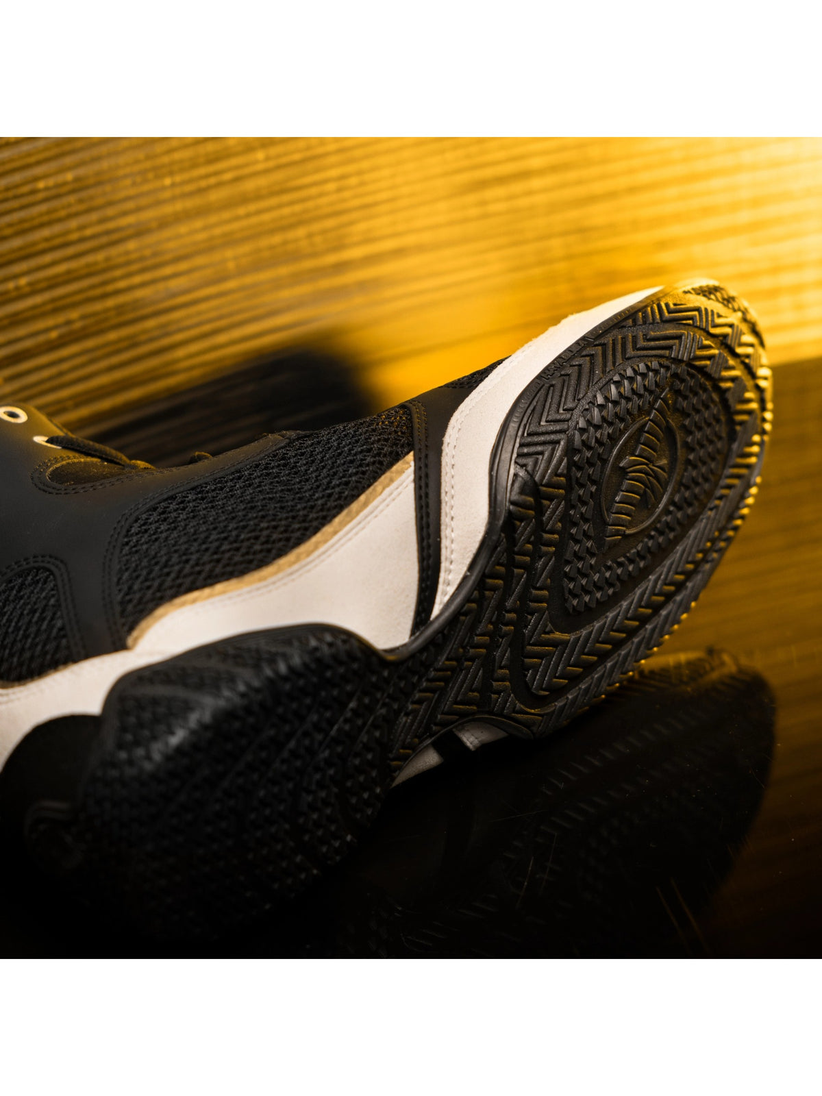 Mayweather Champ Boxing Shoes – Black/Gold Back