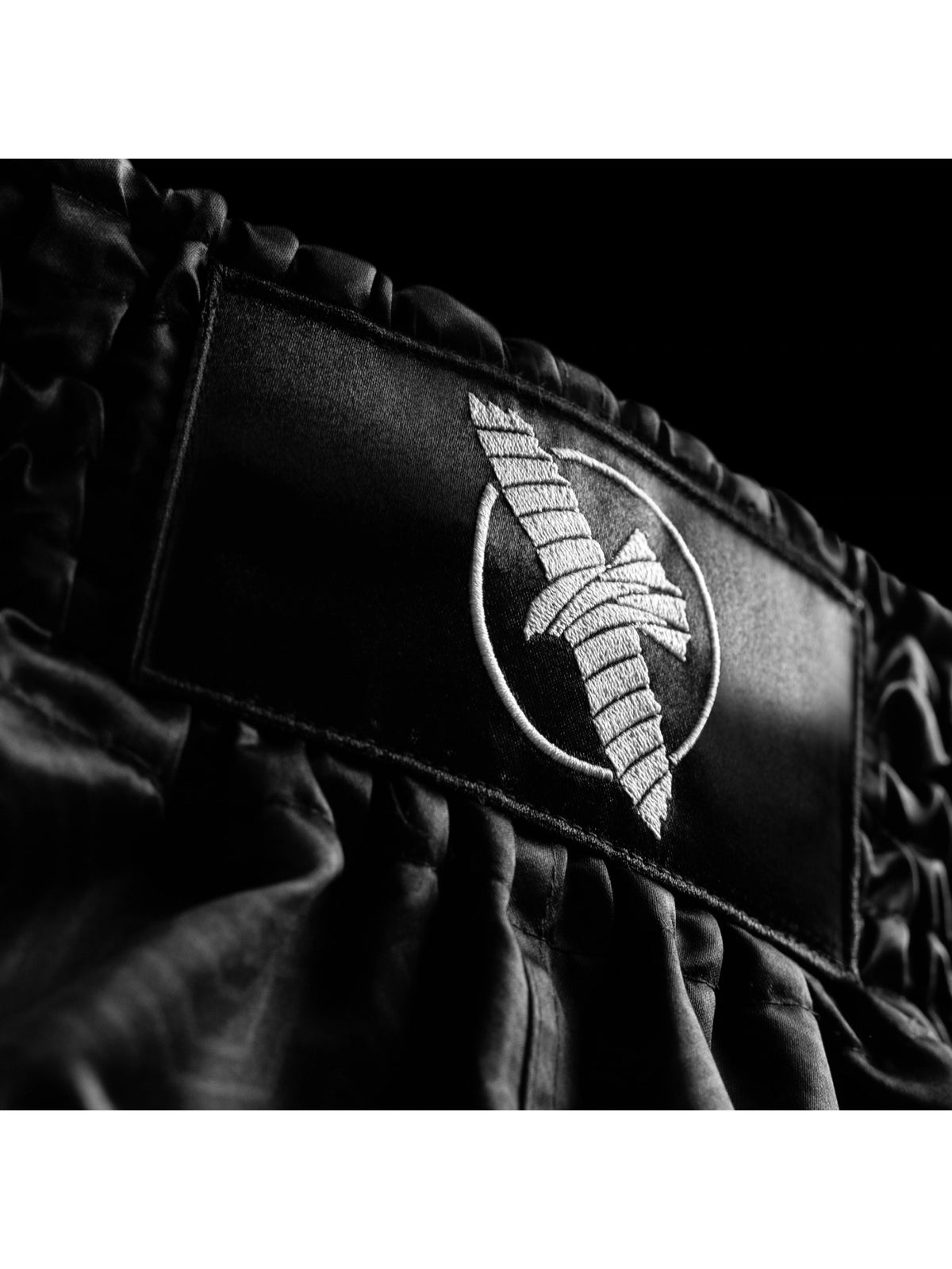 Hayabusa Core Muay Thai Shorts, black, image 4