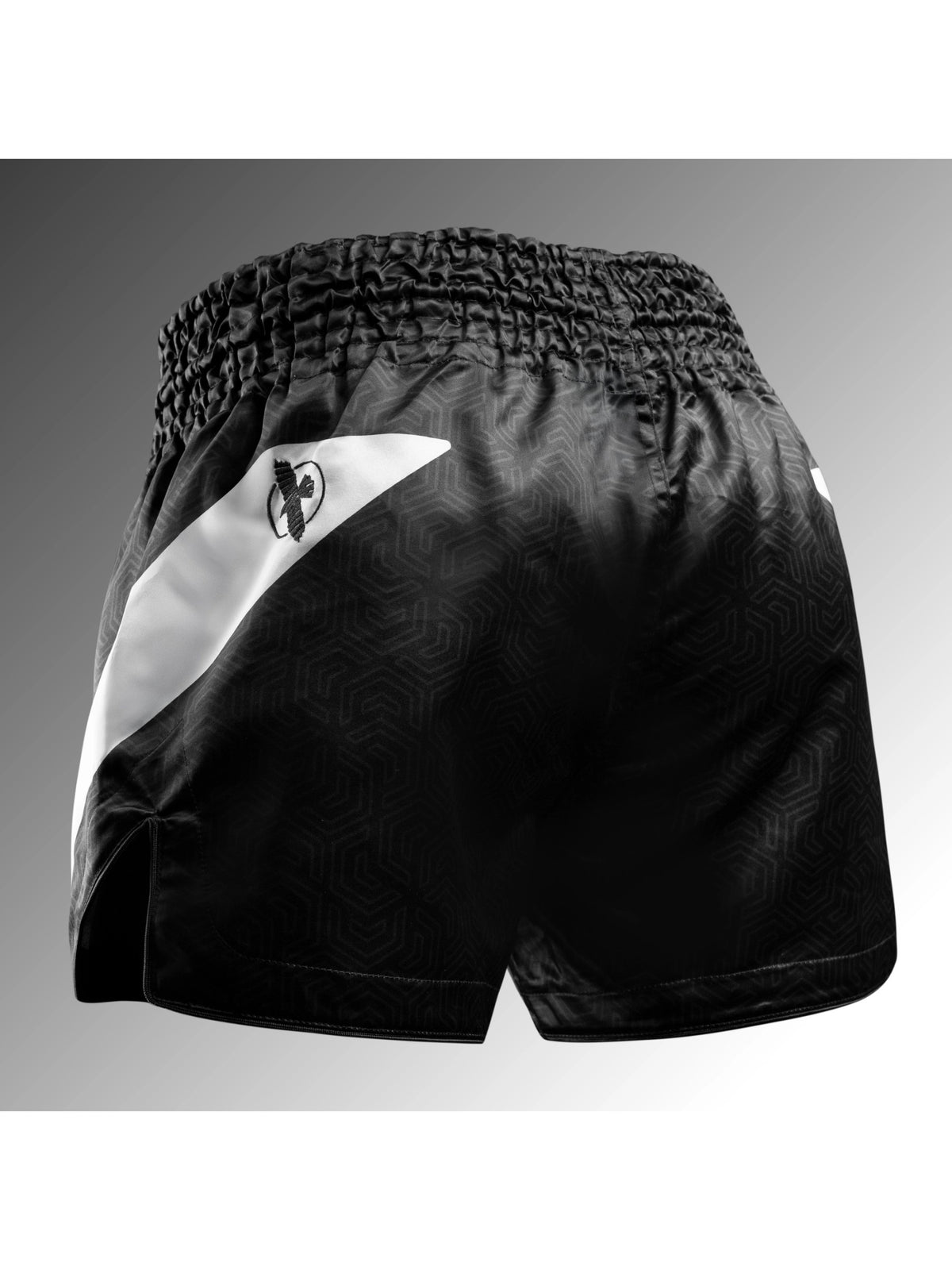 Hayabusa Core Muay Thai Shorts, black, image 2