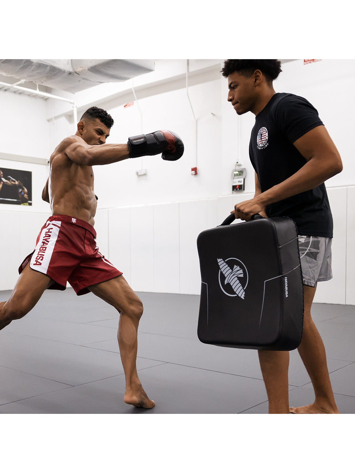 Hayabusa PTS3 Kick Shield, black, feature graphic