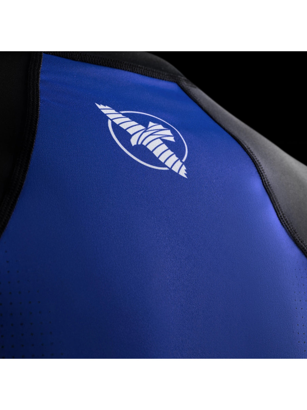 Hayabusa Men's Pro Ranked Long Sleeve Rash Guard, blue, image 3