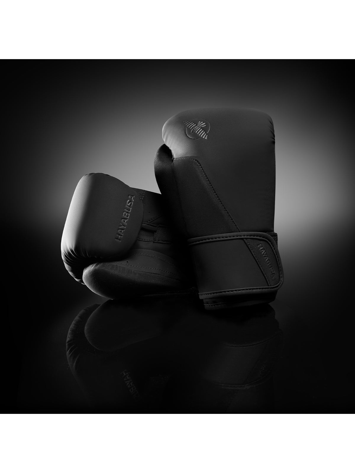 Hayabusa T360 Boxing Gloves, black, image 6