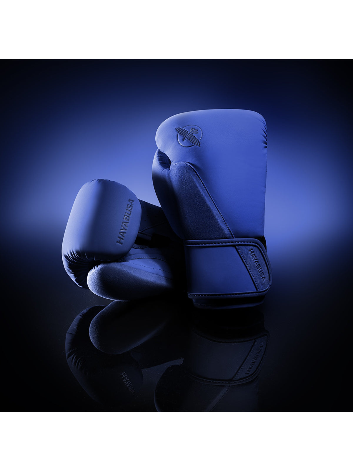 Hayabusa T360 Boxing Gloves, blue, image 6
