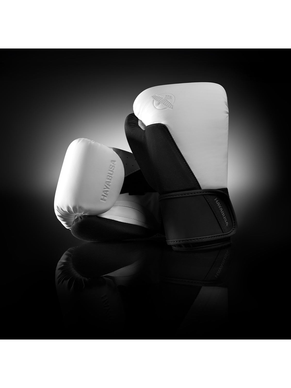 Hayabusa T360 Boxing Gloves, white/black, image 6