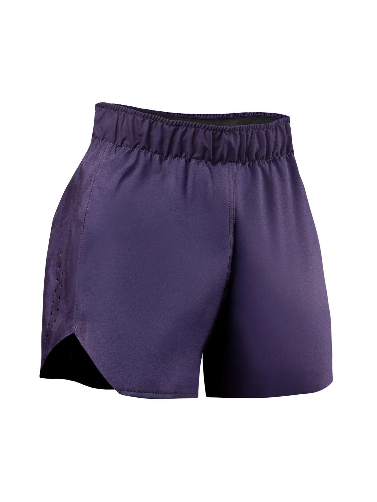 Hayabusa Women's Apex Fight Shorts, deep violet, main image