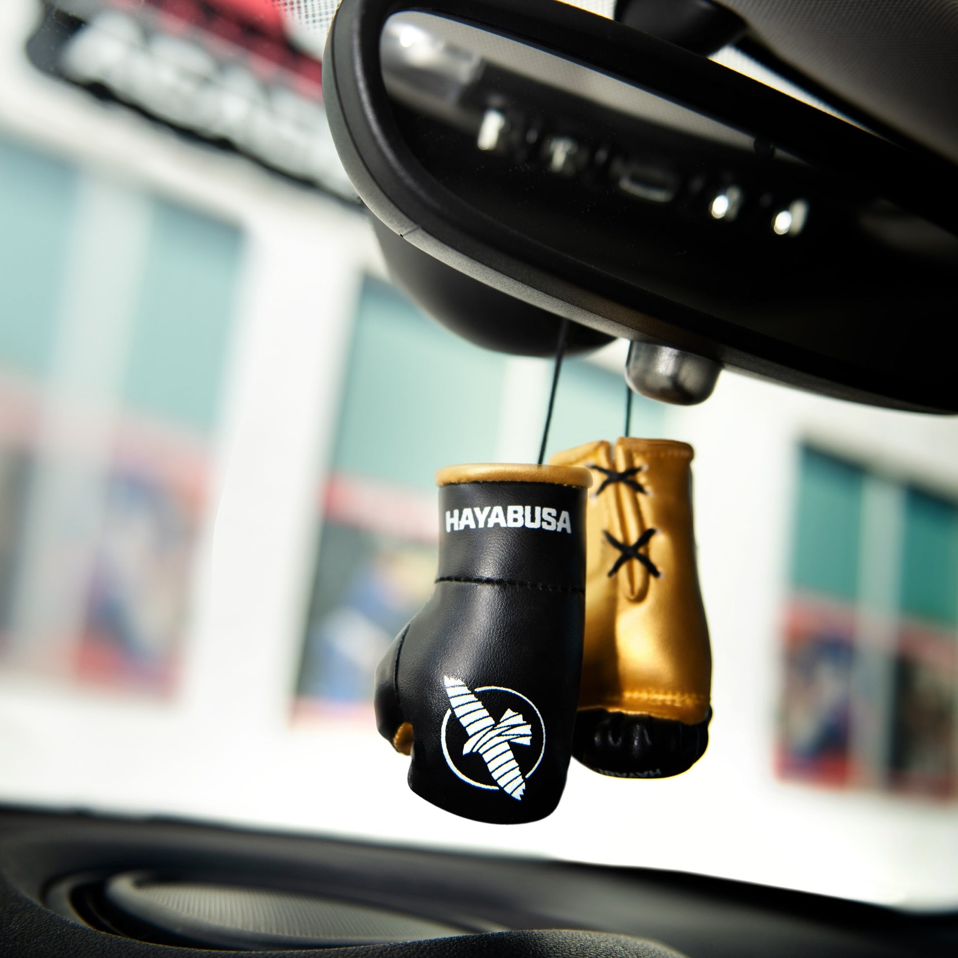 Hayabusa Mini Boxing Gloves - Lifestyle