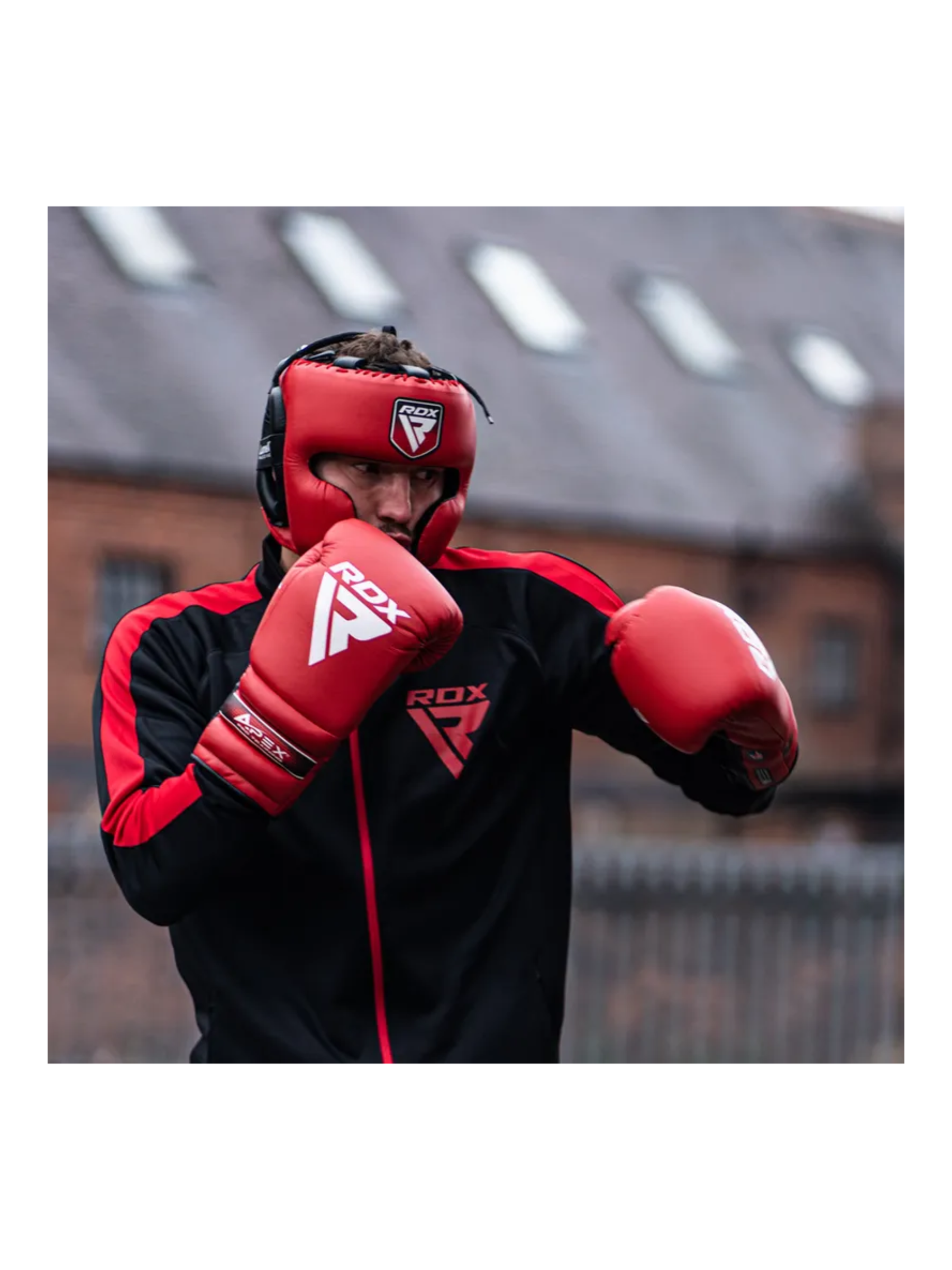 RDX APEX Lace Up Training/Sparring Boxing Gloves – size reference