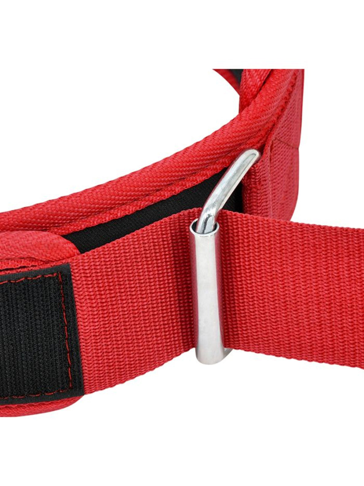 RDX RX5 Weightlifting Belt - Red