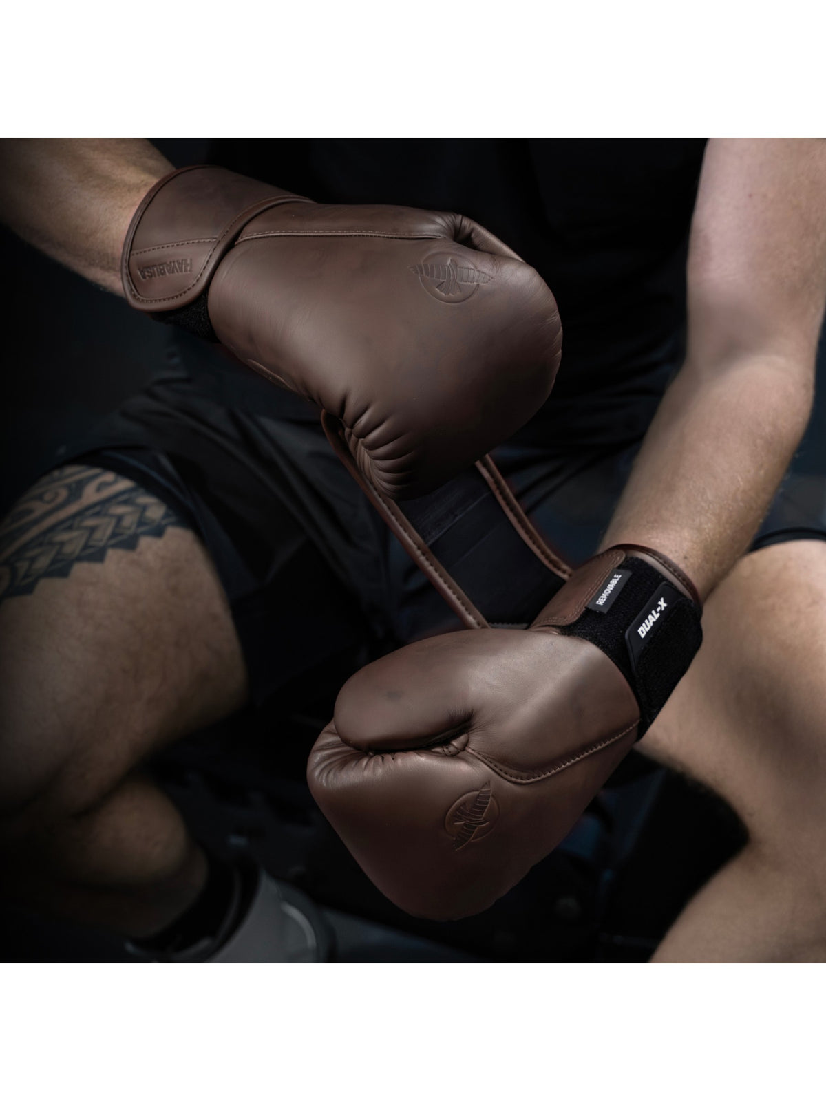 Hayabusa T360 Leather Boxing Gloves, french roast, image 5