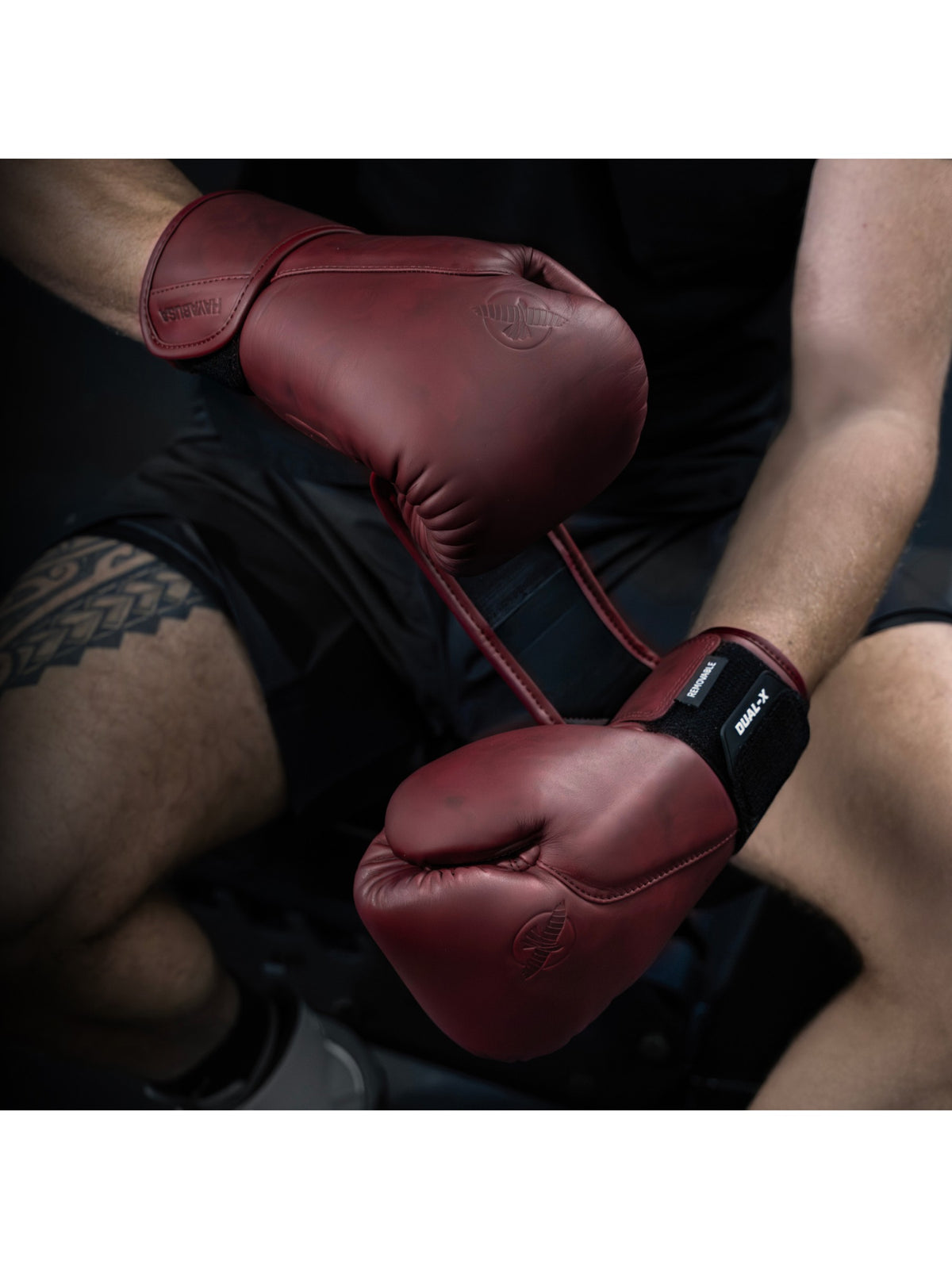 Hayabusa T360 Leather Boxing Gloves, cabernet, image 5