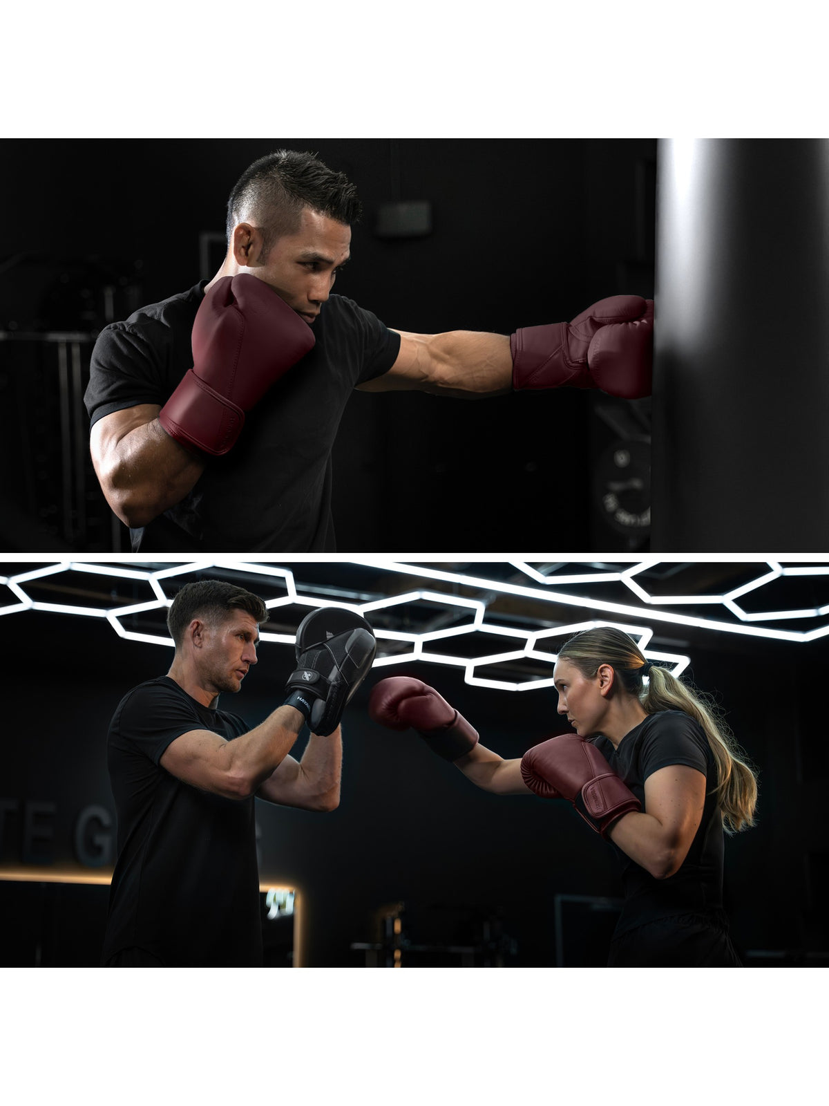 Hayabusa T360 Leather Boxing Gloves, cabernet, feature graphic