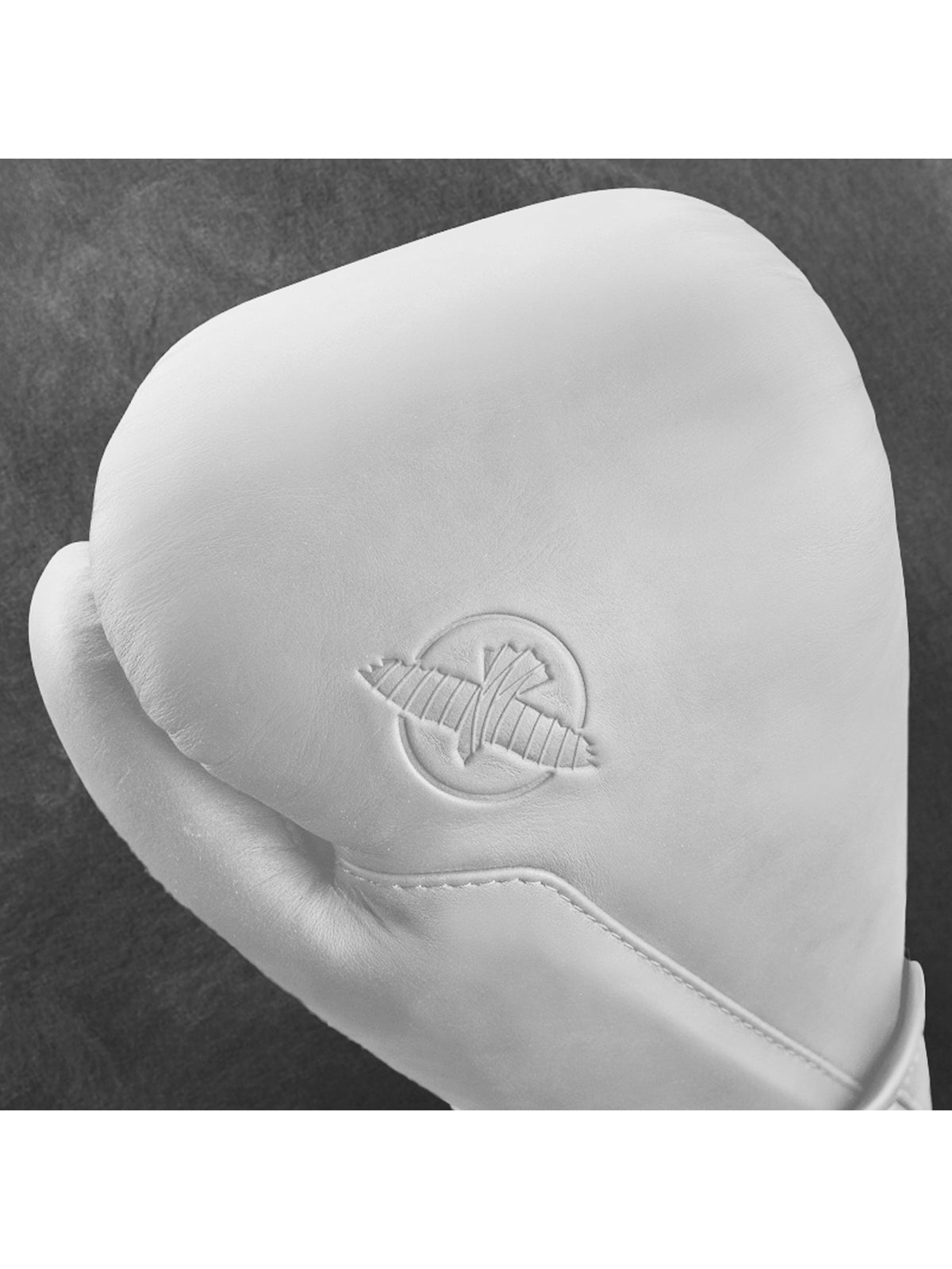 Hayabusa T360 Leather Boxing Gloves, sea smoke, image 3
