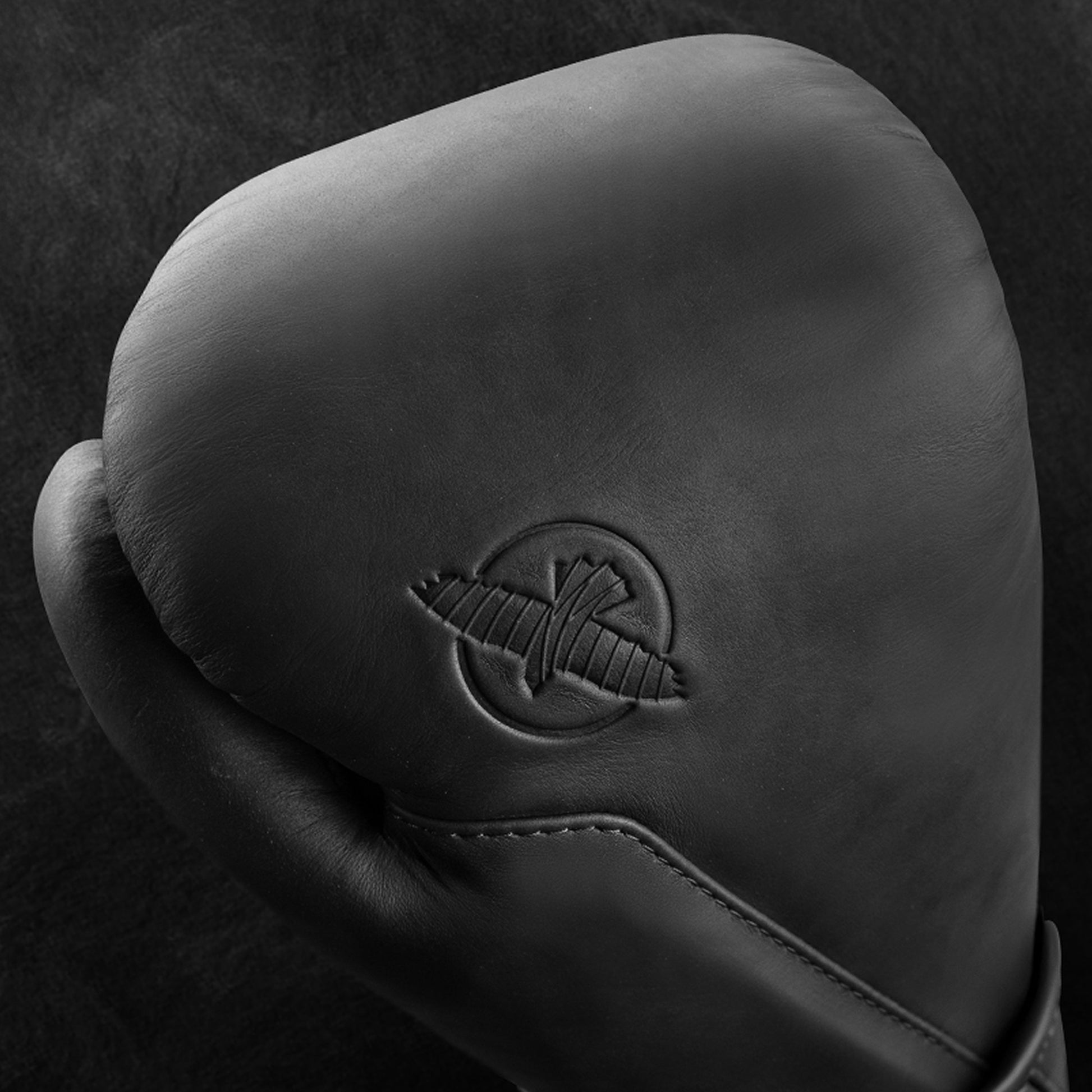 Hayabusa T360 Leather Boxing Gloves - Leather Detail